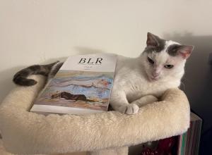 A white cat rests in a cat bed next to the Animalia issue of Bellevue Literary Review