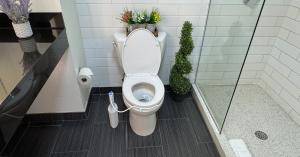 The Traveler, portable bidet, mounted on toilet at local hotel.