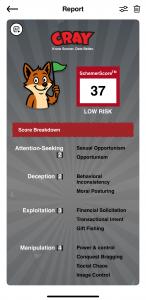 SchemerScore Report