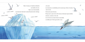 a sample page from Charrancito se lanza a volar / Tiny Tern Takes Flight