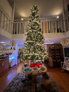 Provisions Williamstown decorated for the holiday season.