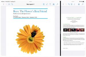 Using Multiple Windows with PDFpen for iPad & iPhone on iPadOS