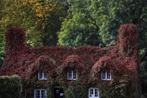 Virginia-Kriecher-Fassade