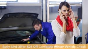 Early Bird Offer $25 Off Complete Winter Vehicle Check