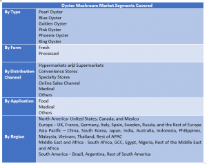 Oyster Mushroom Market Two