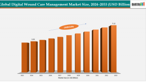 Digital Wound Care Management Market