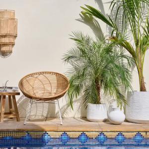 Outdoor garden chair surrounded by plants and flowers