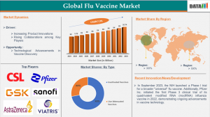 Flu Vaccine Market