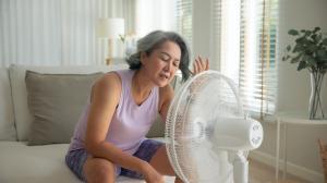 world menopause day