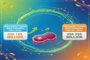 Demand for Alternative Protein Meat Extenders with Shelf-life