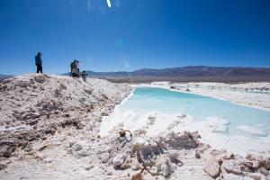 Salar de Maricunga, Atacama Chile - Maricunga Investment