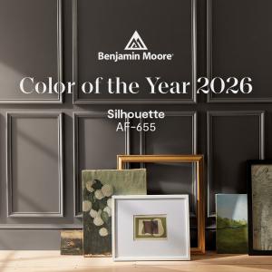 Benjamin Moore’s 2026 Color of the Year: Silhouette AF‑655
