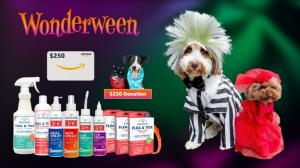 Pets dressed in fun costumes standing beside Wondercide products and prizes for the 2025 Wonderween Contest.