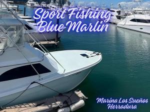Sport Fishing Blue Marlin Los Sueños Marina