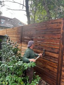 New cedar privacy fence built by Tony’s Fencing and Iron Works in Southeast Louisiana with warm golden stain.