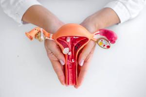 tcm for menopause
