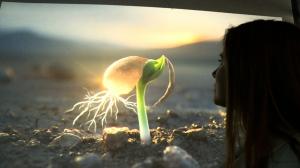 Six guest artists participate, including Tree in Transit by Mariia Plekhova and Oksana Mas 