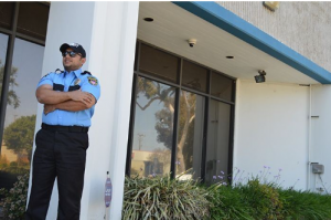 private security-