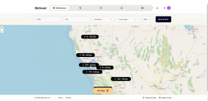 BizScout Map View