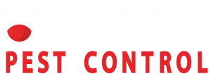 optimum pest control NYC