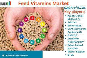 Feed Vitamins Market