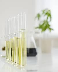 Medicinal cannabis is tested for quality and safety before reaching patients.