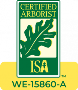 Certified Arborist