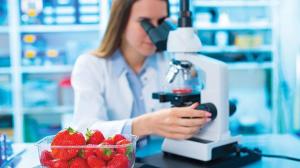Laboratories testing gluten levels in food