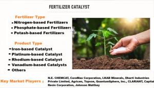 Fertilizer Catalyst Market, by Type