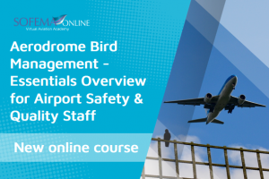 Aerodrome Bird Management – Essentials Overview for Airport Safety & Quality Staff