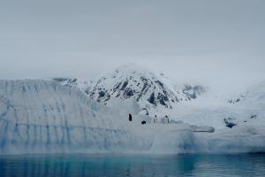 Photograph by Grace Shi titled “The Watchers of the White Realm” from the series “Fragments of a Frozen Memory,” showing penguins standing on an icy ridge before snow-covered Antarctic mountains under muted light.