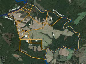 1,600± acres offered in 15 tracts (3± to 1,600± acres). 5± miles of South Anna River frontage. Frontage on Ambler Rd. and Shannon Hill Rd. Productive agricultural and cropland tracts. Grain storage and drying facilities, 50' x 80' workshop and 70' x 140' equipment bldg