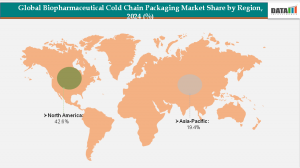 Biopharmaceutical Cold Chain Packaging Market, By Region