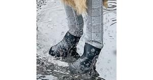 boots that stay on dogs.