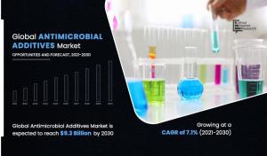Antimicrobial Additives Market CAGR