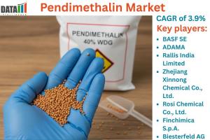 Pendimethalin Market