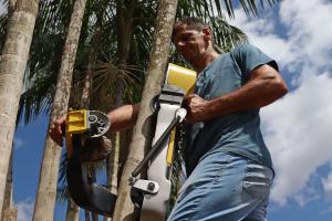 Developed by Kaatech, the AçaíBot is the first açaí harvesting robot ever created in Brazil.