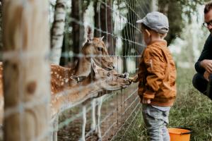 family at a petting zoo