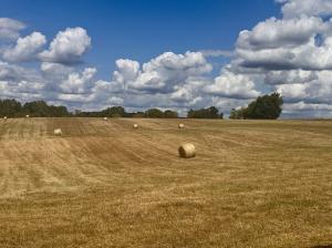 110.1± acres with 1,980± feet of Lake Anna frontage on the cool side (“Terry’s Run”). 3 BR / 2 BA farmhouse with 1,526± sq. ft., hardwood floors, and front & side porches . Kitchen with all appliances, living room, dining room, unfinished basement & attic.