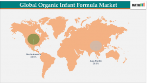 Organic infant Formula Industry, By Region