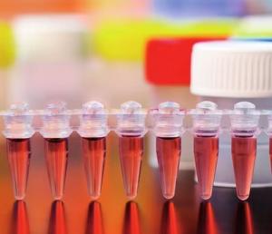 Real-Time PCR Reagents