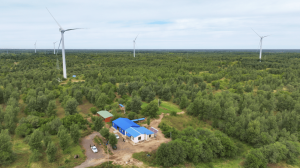 Drone view of State Grid Fuxin Power Supply Company’s afforestation area with wind turbines and forested landscape.