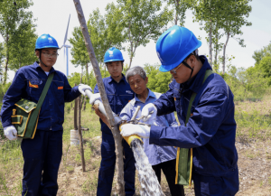 Technicians from State Grid Fuxin inspecting and repairing electrical poles in a reforestation site.