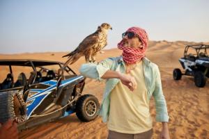 Dune Buggies Dubai and Falcon