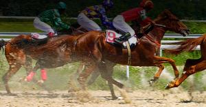 four brown horses racing at a gallop with jockeys, horses close together and kicking up dirt, sun is shining