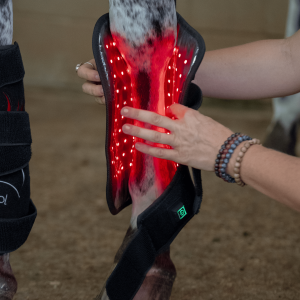 EquiSol Red Light Therapy Leg Wrap for equines shines light on horse tendon