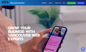 Pro Web Services homepage