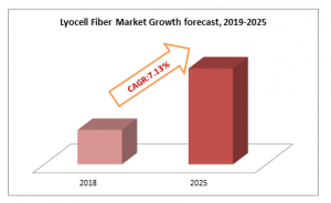 Lyocell Fiber Market Growth forecast, 2019-2025