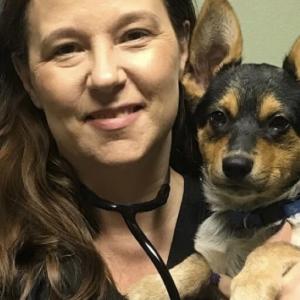 Dr. Corrie Bates, at her practice of in-home pet euthanasia in Baltimore and surrounding cities.