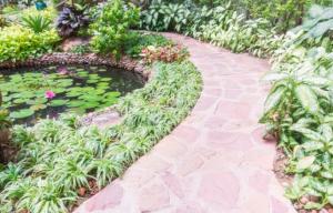 Garden Pathway